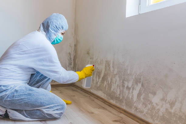 Mold Remediation specialist working in Jackson